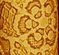 Faux Embossed Leather Mustard 5.5x8.5 Sheet