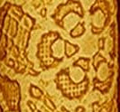 Faux Embossed Leather Mustard 5.5x8.5 Sheet