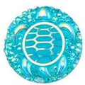 Turquoise Turtle Cabochons Set