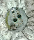 Big Auntie Abalone Peacock Earrings
